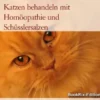 Stoffwechselschwäche bei Katzen behandeln mit Homöopathie und Schüsslersalzen