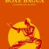 Studio della Boxe Bagua