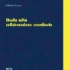 Studio sulla collaborazione coordinata - e-Book