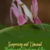 Surprising and unusual rarities and creatures of the Animal Kingdom. Vol. 2