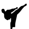 Taekwondo: A Complete Guide