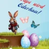Taps wird Osterhase