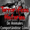 Terroríficas Historias De Animales Comportándose Como Humanos