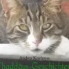 Thaddäus-Geschichten