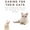 The Cat Owner’s Blueprint for Caring for Their Cats