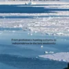 The History of Greenland