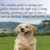 The Complete Golden Retriever’s Guide