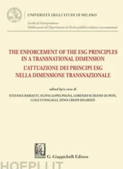 The Enforcement of the ESG Principles in a Transnational Dimension