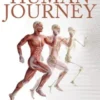 The Human Journey - From Evolution to Modern Civilization