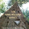 The King William Giants