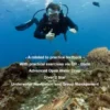 Theory for Advanced Scuba Divers