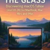 Through the Glass
