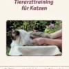 Tierarzttraining für Katzen
