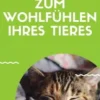 10 Tipps zum Wohlfühlen Ihres Tieres
