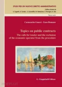 Topics on public contracts - e-Book
