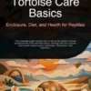 Tortoise Care Basics: Enclosure, Diet, and Health for Reptiles
