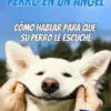 Transforme A Su Perro En Un Ángel