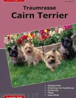 Traumrasse Cairn Terrier