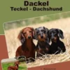 Traumrasse: Dackel Teckel Dachshund