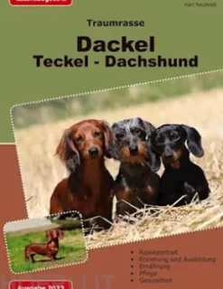 Traumrasse: Dackel Teckel Dachshund