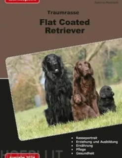 Traumrasse Flat Coated Retriever