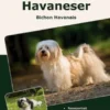 Traumrasse Havaneser