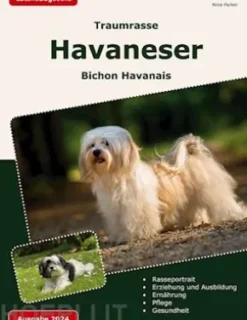 Traumrasse Havaneser