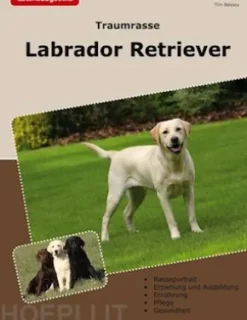 Traumrasse Labrador Retriever