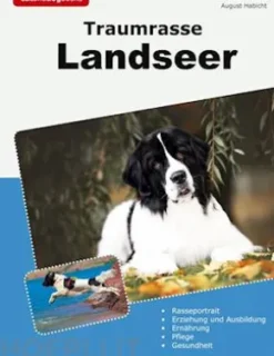 Traumrasse Landseer