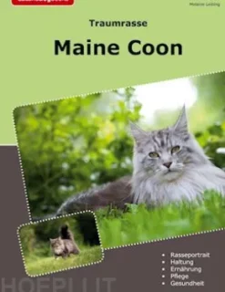 Traumrasse Maine Coon