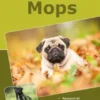 Traumrasse: Mops