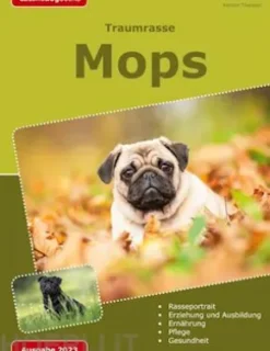 Traumrasse: Mops