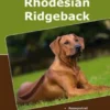 Traumrasse: Rhodesian Ridgeback