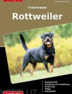 Traumrasse: Rottweiler