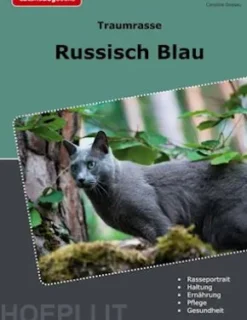 Traumrasse Russisch Blau