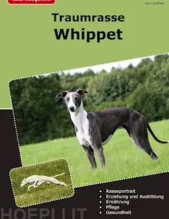 Traumrasse Whippet