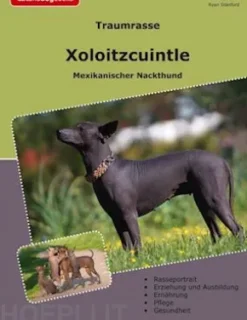 Traumrasse Xoloitzcuintle