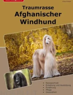 Traumrasse Afghanischer Windhund