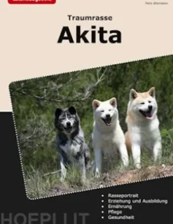Traumrasse Akita