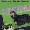 Traumrasse American Cocker Spaniel