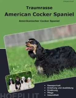 Traumrasse American Cocker Spaniel