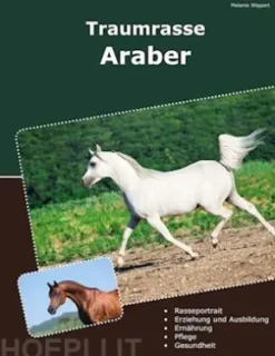 Traumrasse Araber