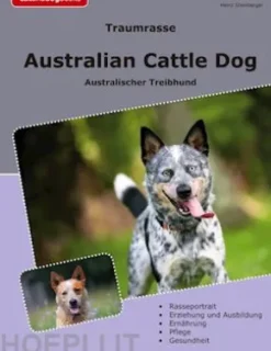 Traumrasse Australian Cattle Dog