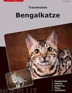 Traumrasse Bengalkatze