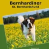 Traumrasse Bernhardiner