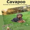 Traumrasse Cavapoo