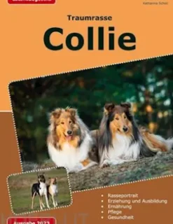 Traumrasse: Collie