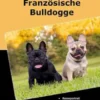 Traumrasse: Französische Bulldogge
