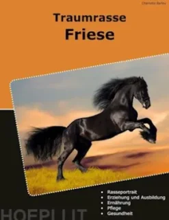 Traumrasse Friese