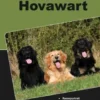 Traumrasse: Hovawart